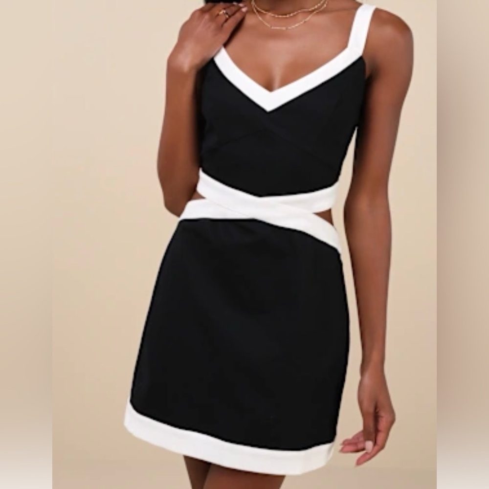 Lulu's Chic Black and White Mini Dress